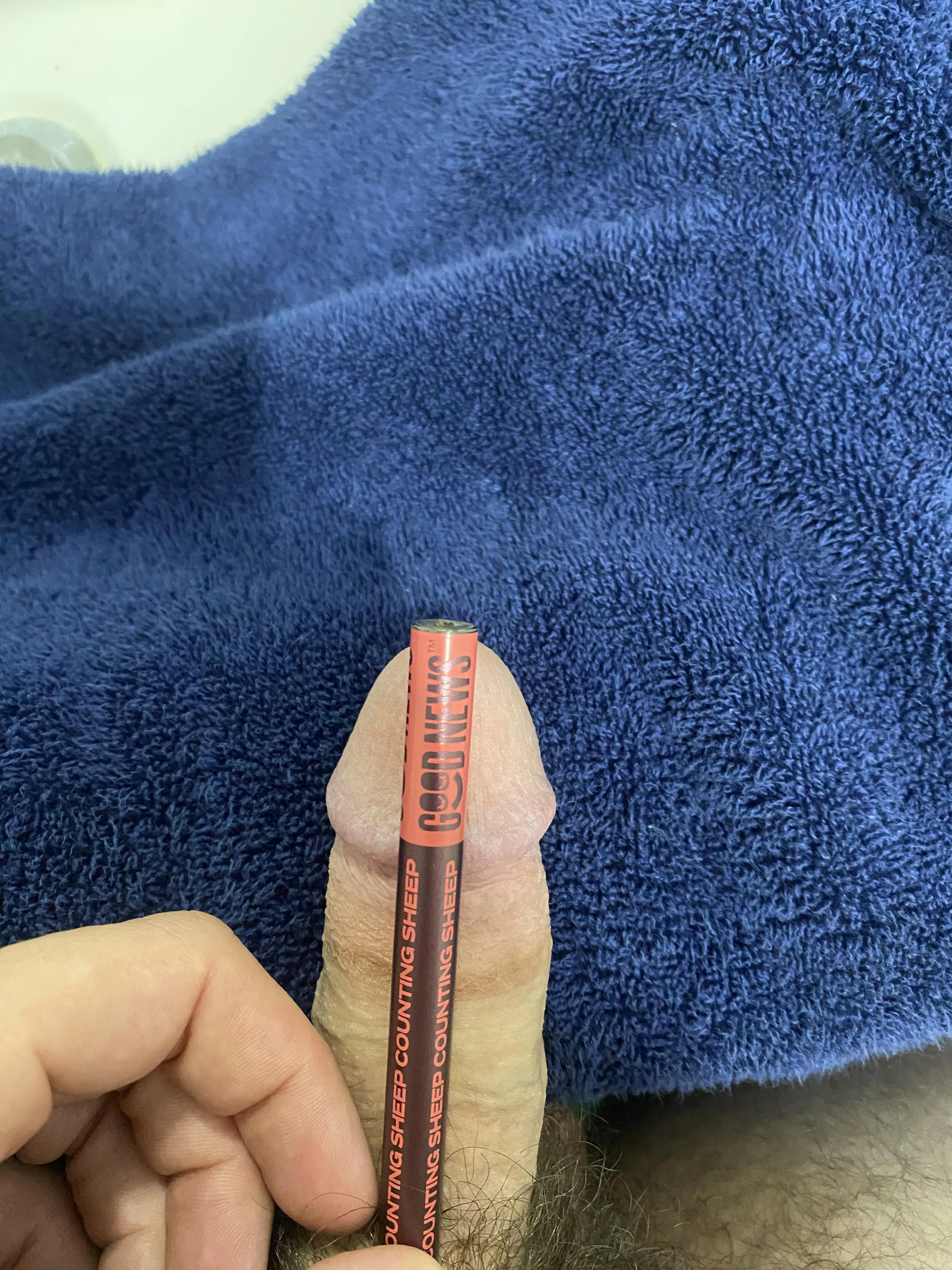 Anyone want to count so[m]e sheep with me? posted by throwaway2021ps