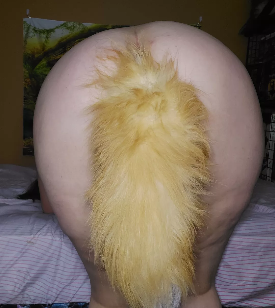 Bend me over and pull my tail~ posted by Nilbunny