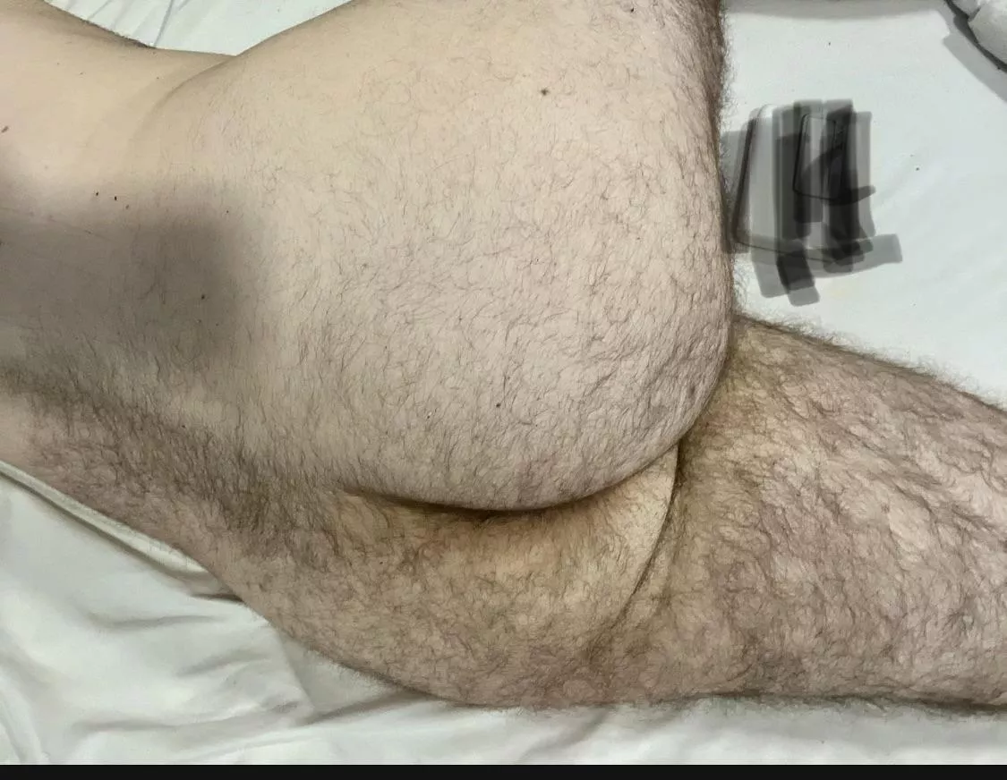 Hairy or shaved ass ? posted by giveupcontrolofholes
