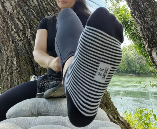 Here is your reward. Sniff after a long walk by sweet_and_sour91