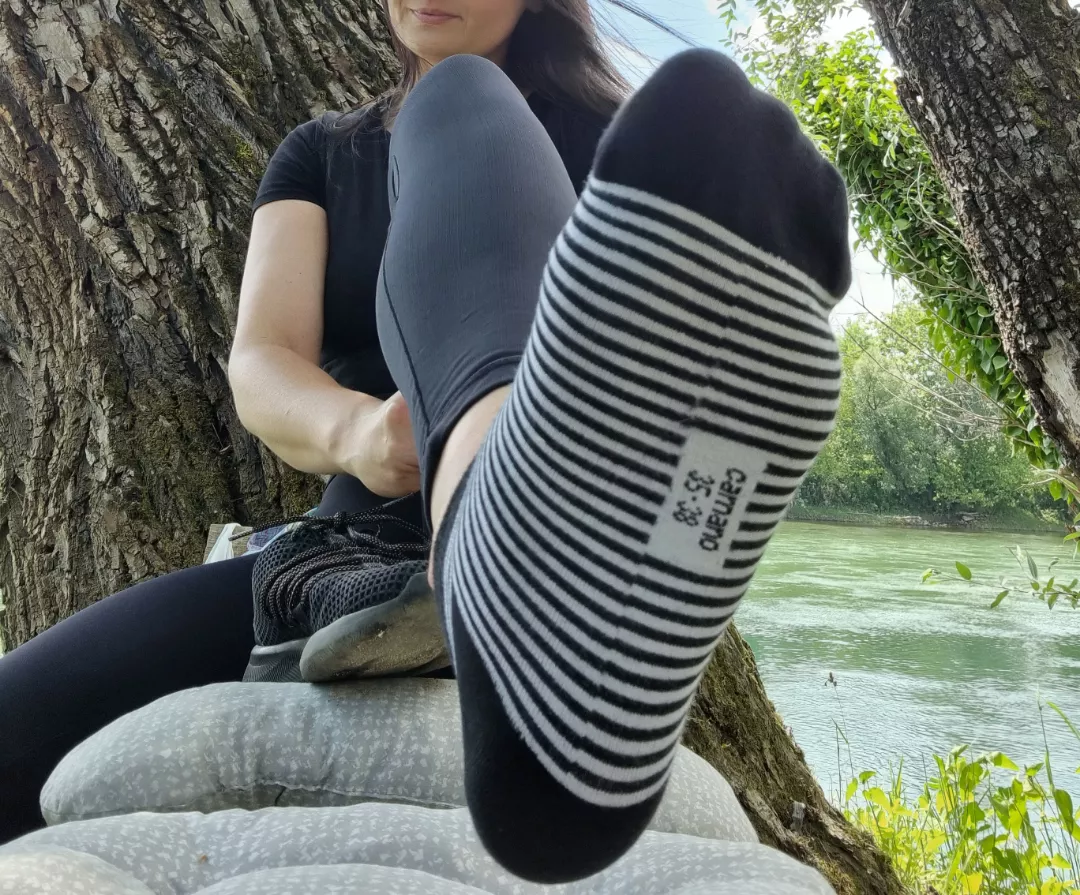 Here is your reward. Sniff after a long walk posted by sweet_and_sour91