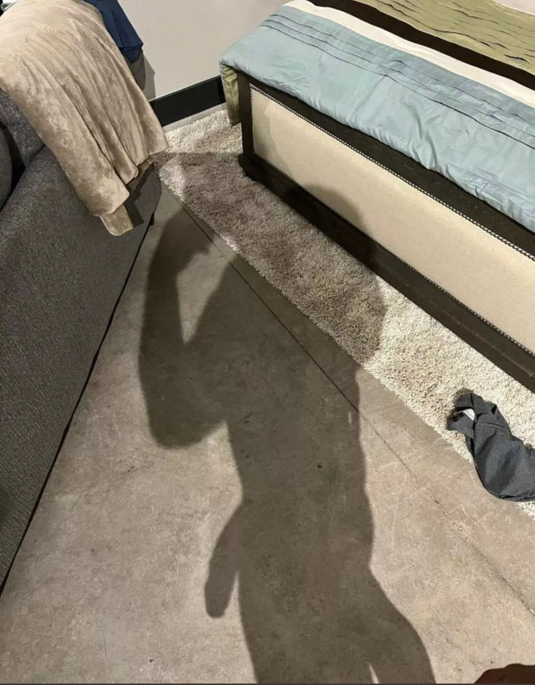 He's a little shy but he still wanted to say hi posted by ThatBroNextDoorrr