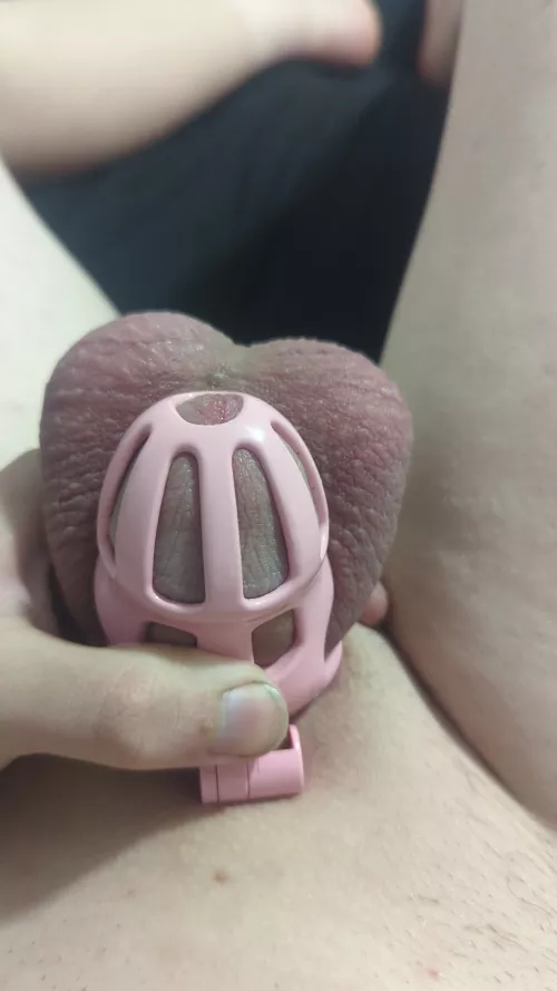 How does the fresh shave look by sissycumdump2