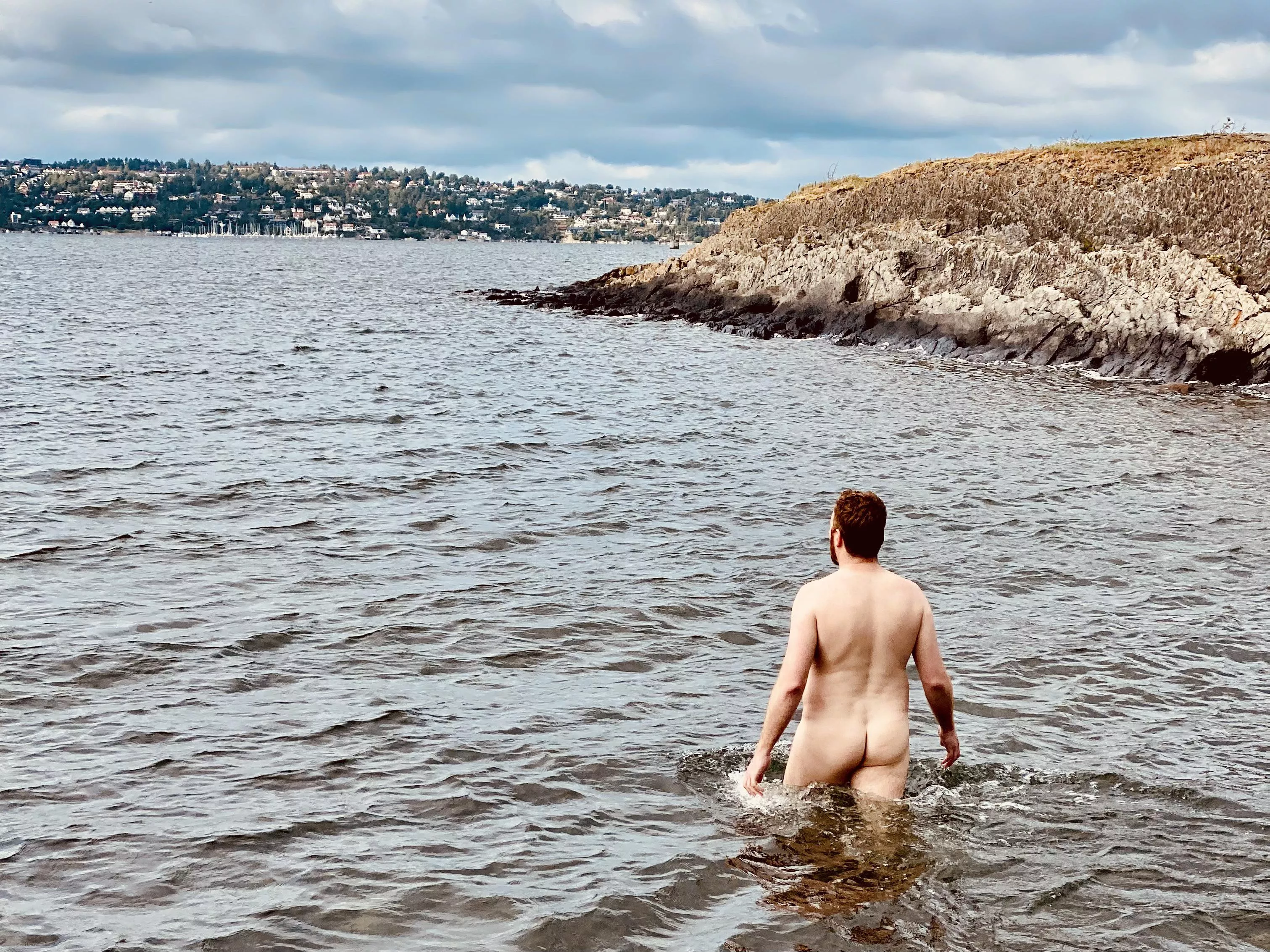 I think this picture is pretty cool and would love to see an artist’s take on it. posted by doctorwhowantspizza