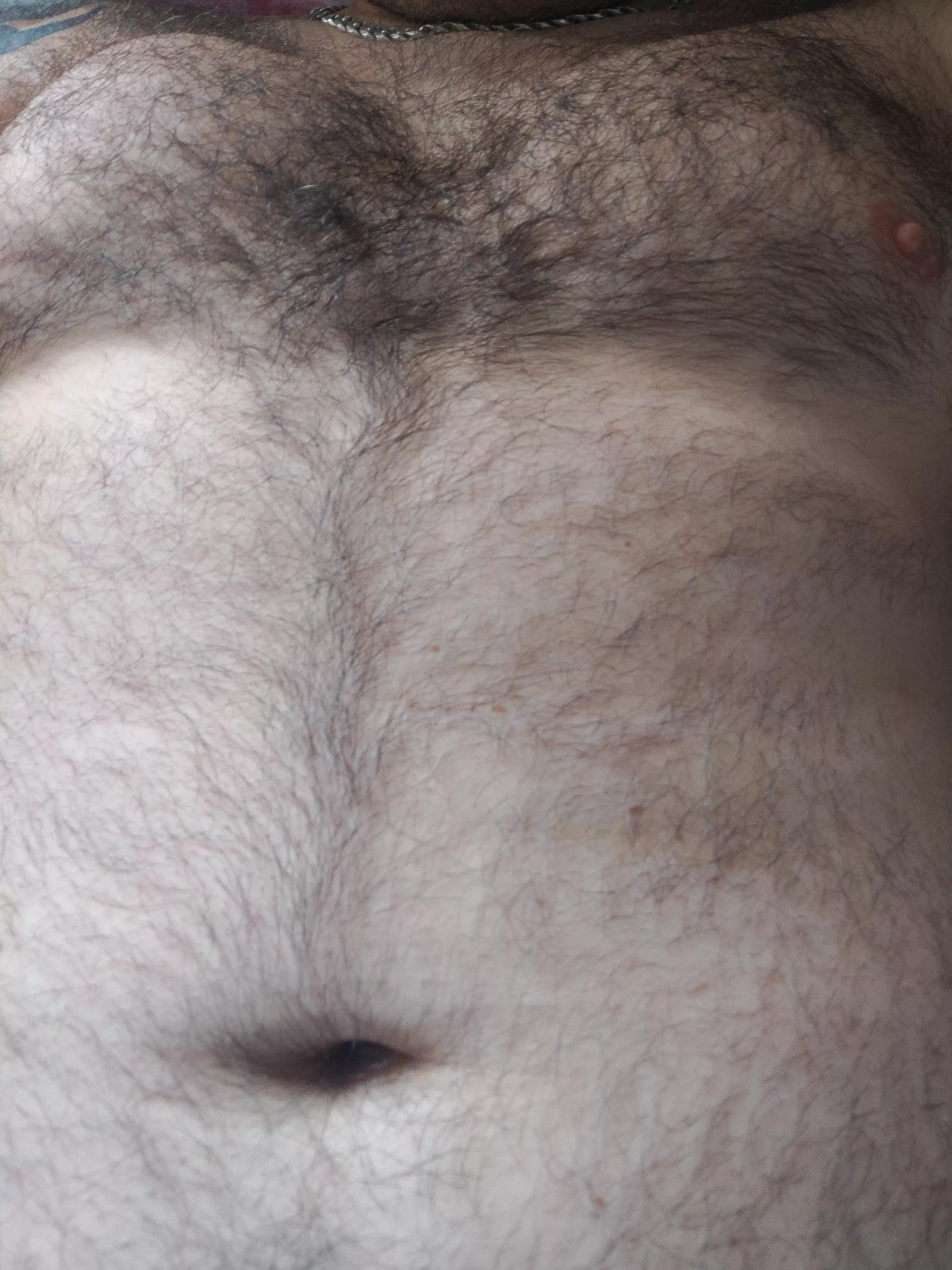 Morning time posted by HairyDiplodocus