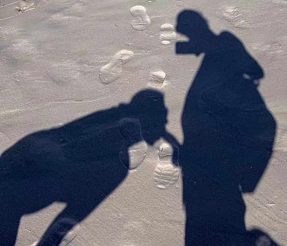 My favorite Shadow puppet by FunIndependence6689