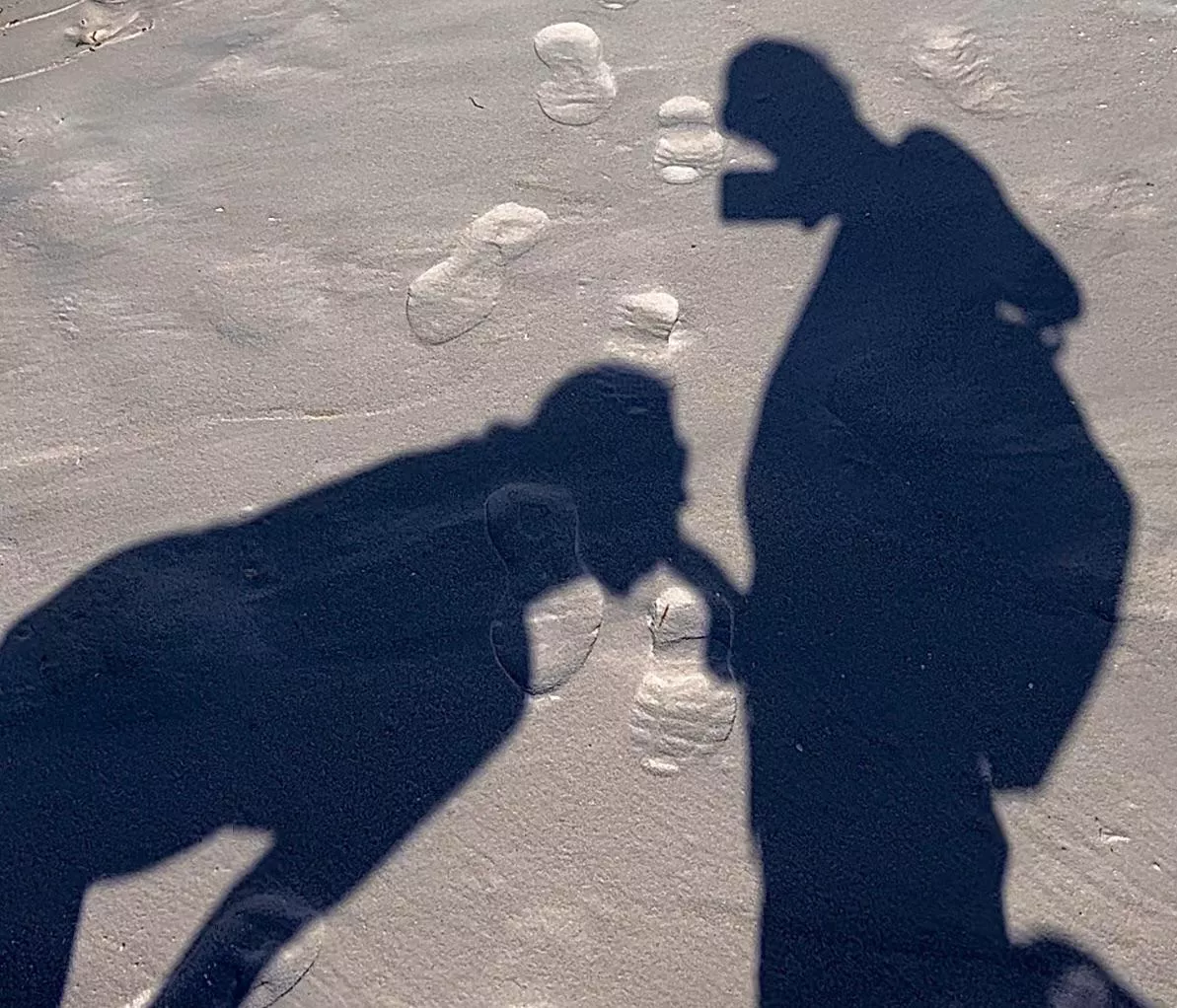 My favorite Shadow puppet posted by FunIndependence6689