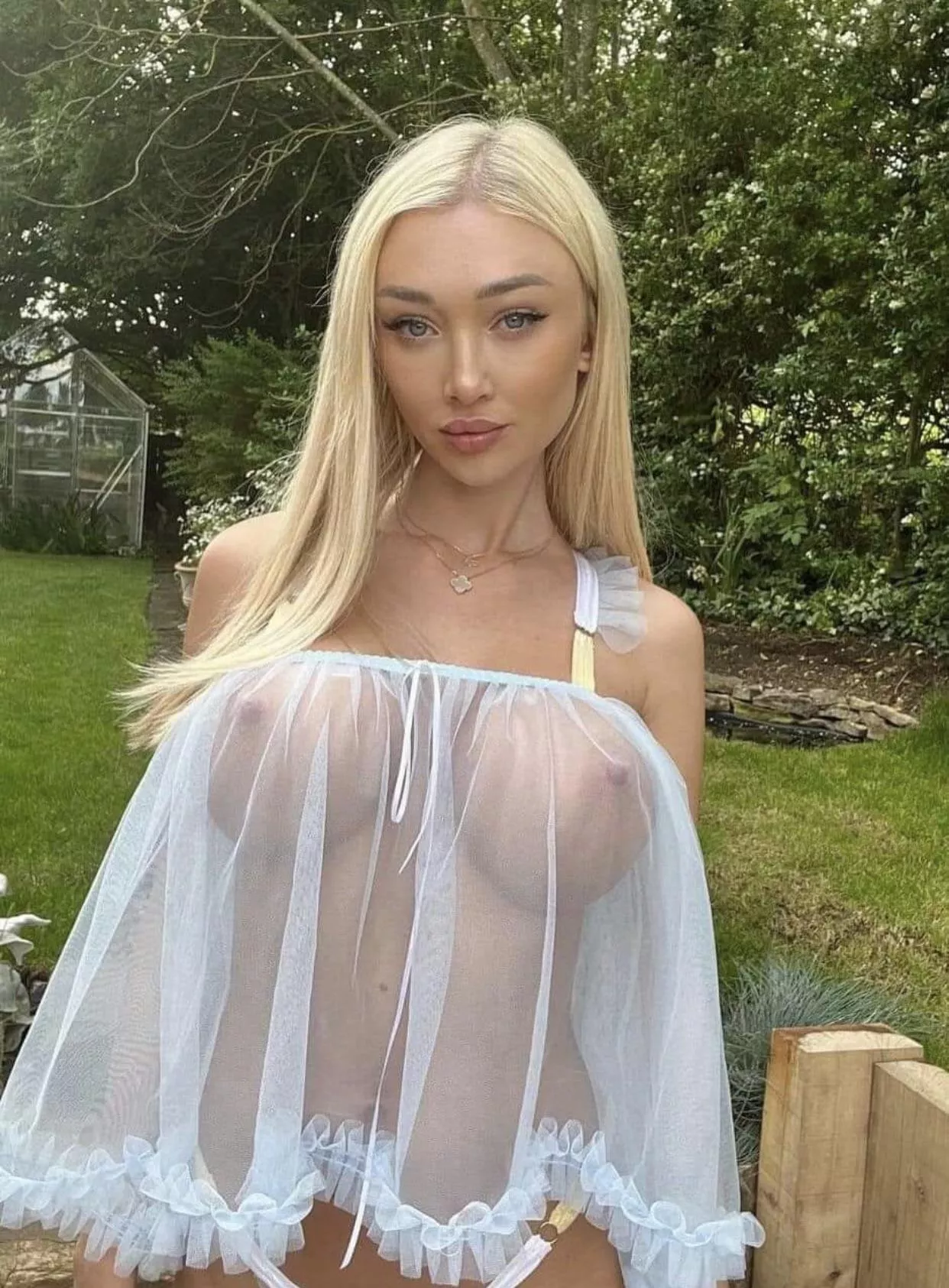 Name? posted by Beanartardo