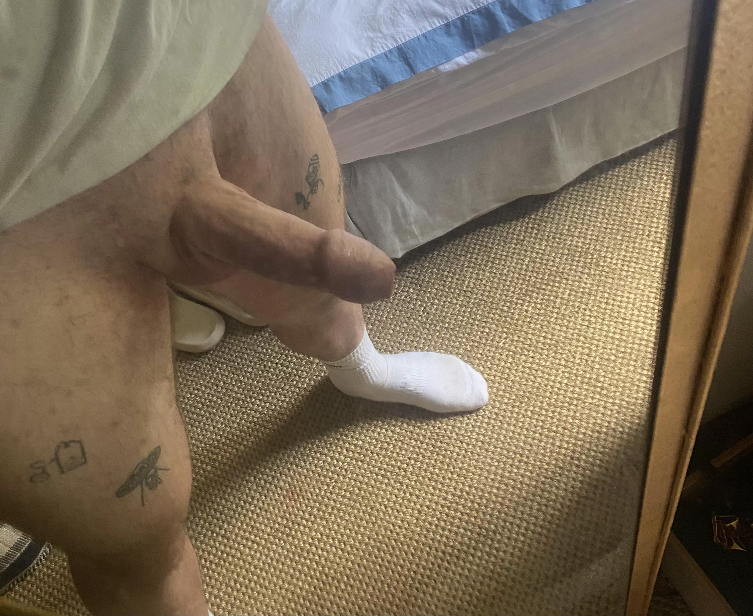 Nervous to post because everyone’s is so big here 😅 posted by Dull-Robot