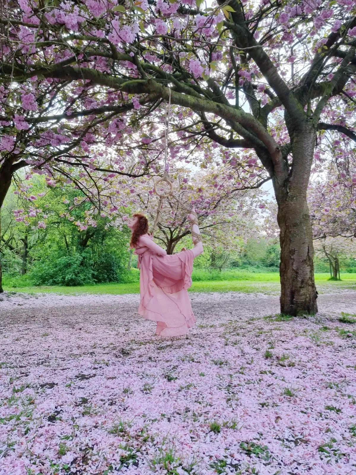 One of my favourite outdoor suspensions 🌸 posted by alterskyex