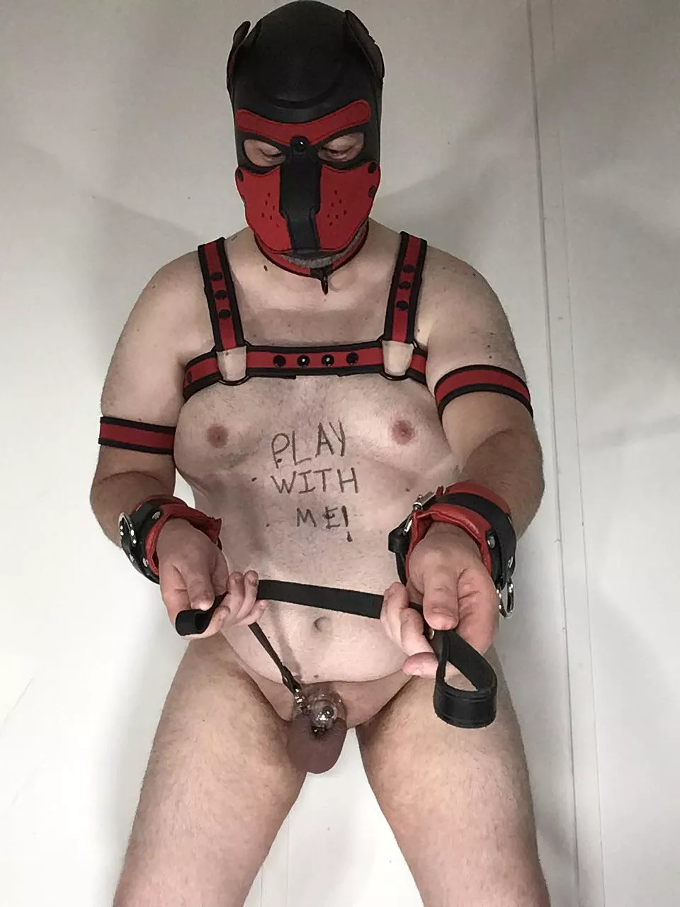 puppy cieirn posted by cieirn