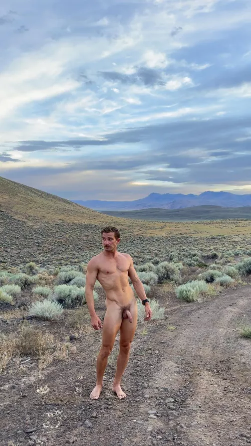 Purple mountain by freeintheforest86