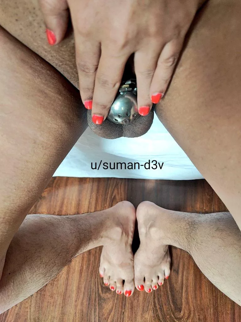 Sissy in natural habitat posted by suman-d3v