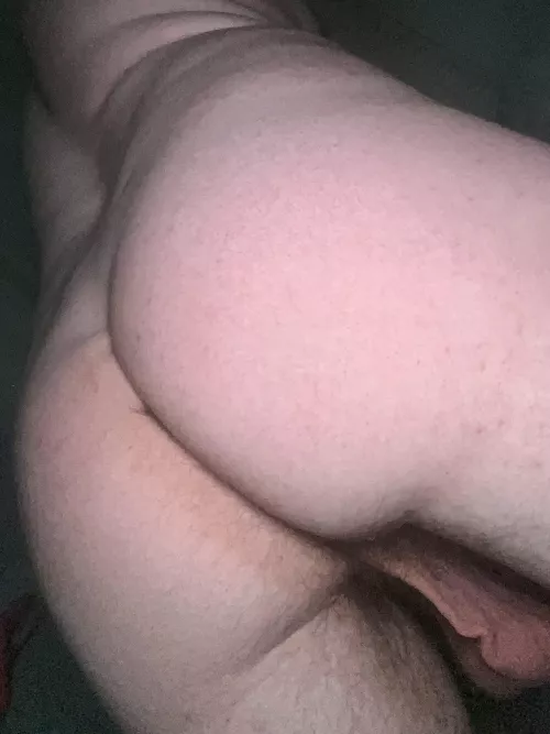 The booty by BirdValuable7028