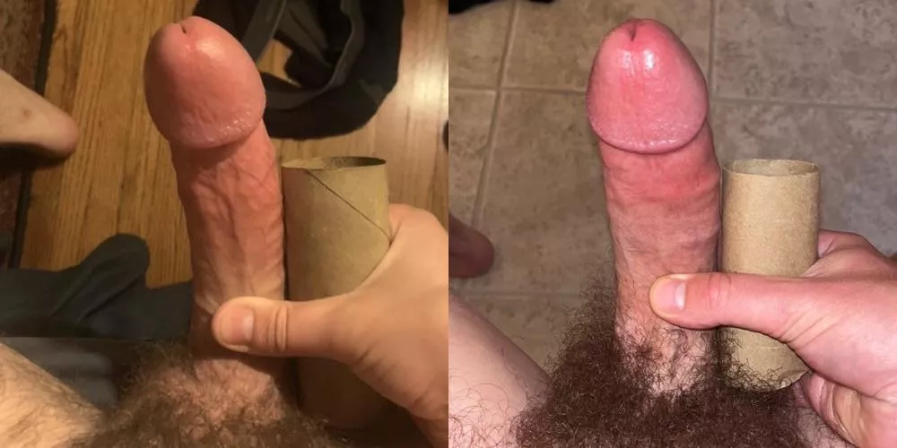 TP roll comparison , which cock would you rather , left or right? posted by Powerful_Project195