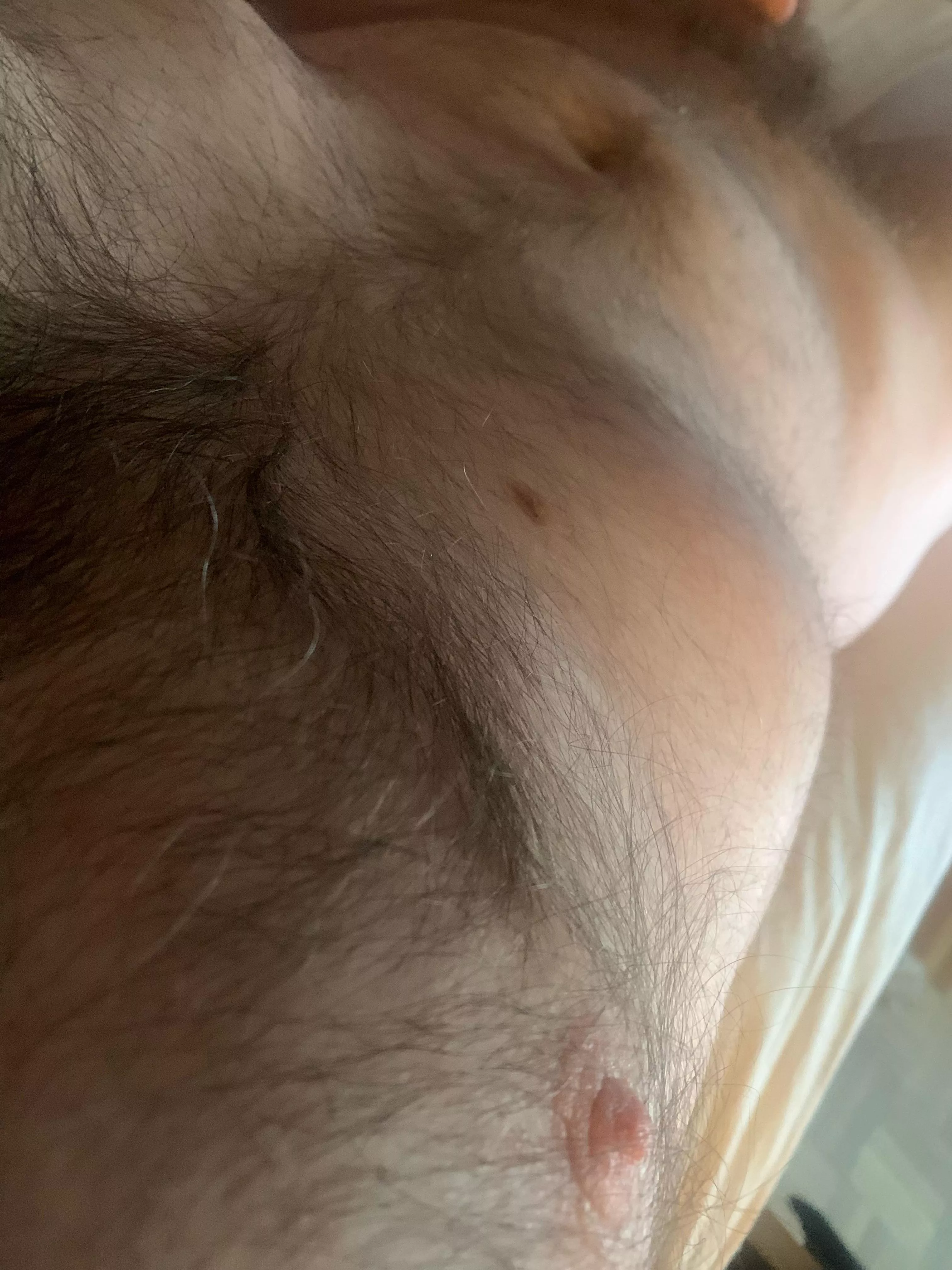 45. Need hands running through this fur posted by batebro_