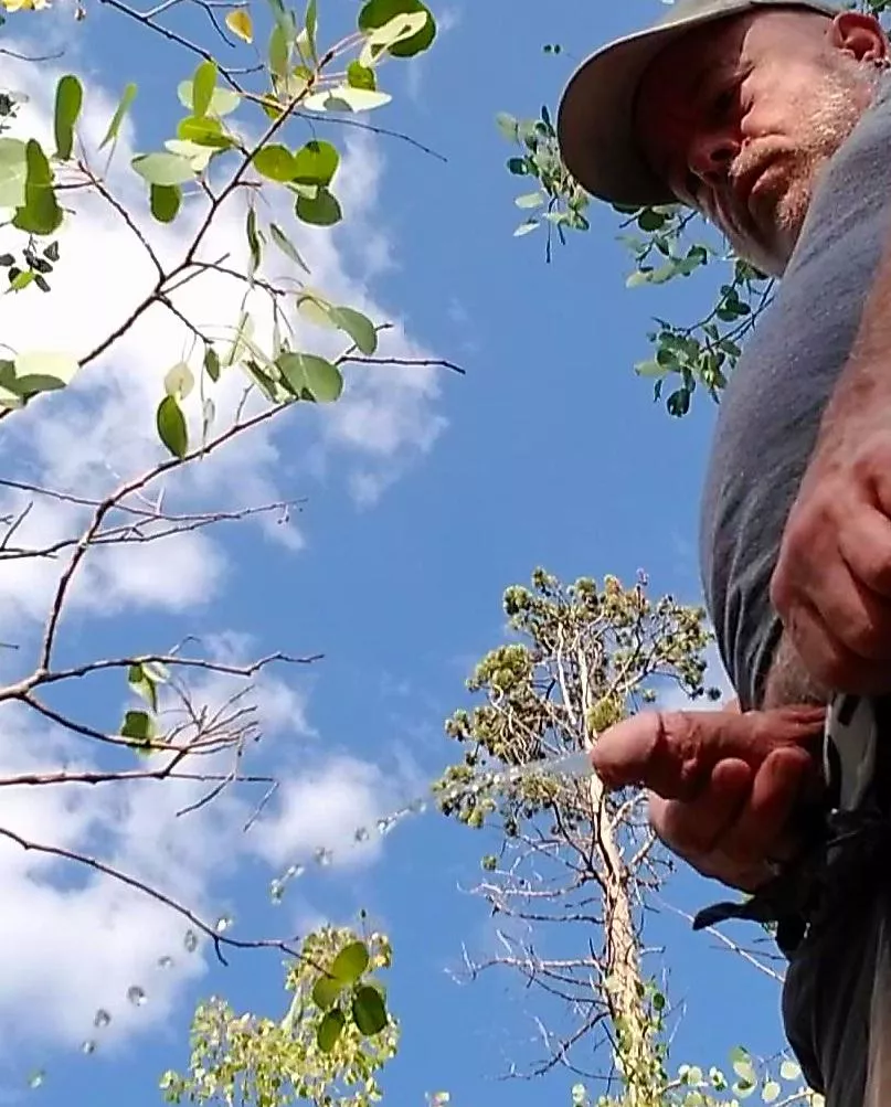 Camping Piss posted by JKPig66