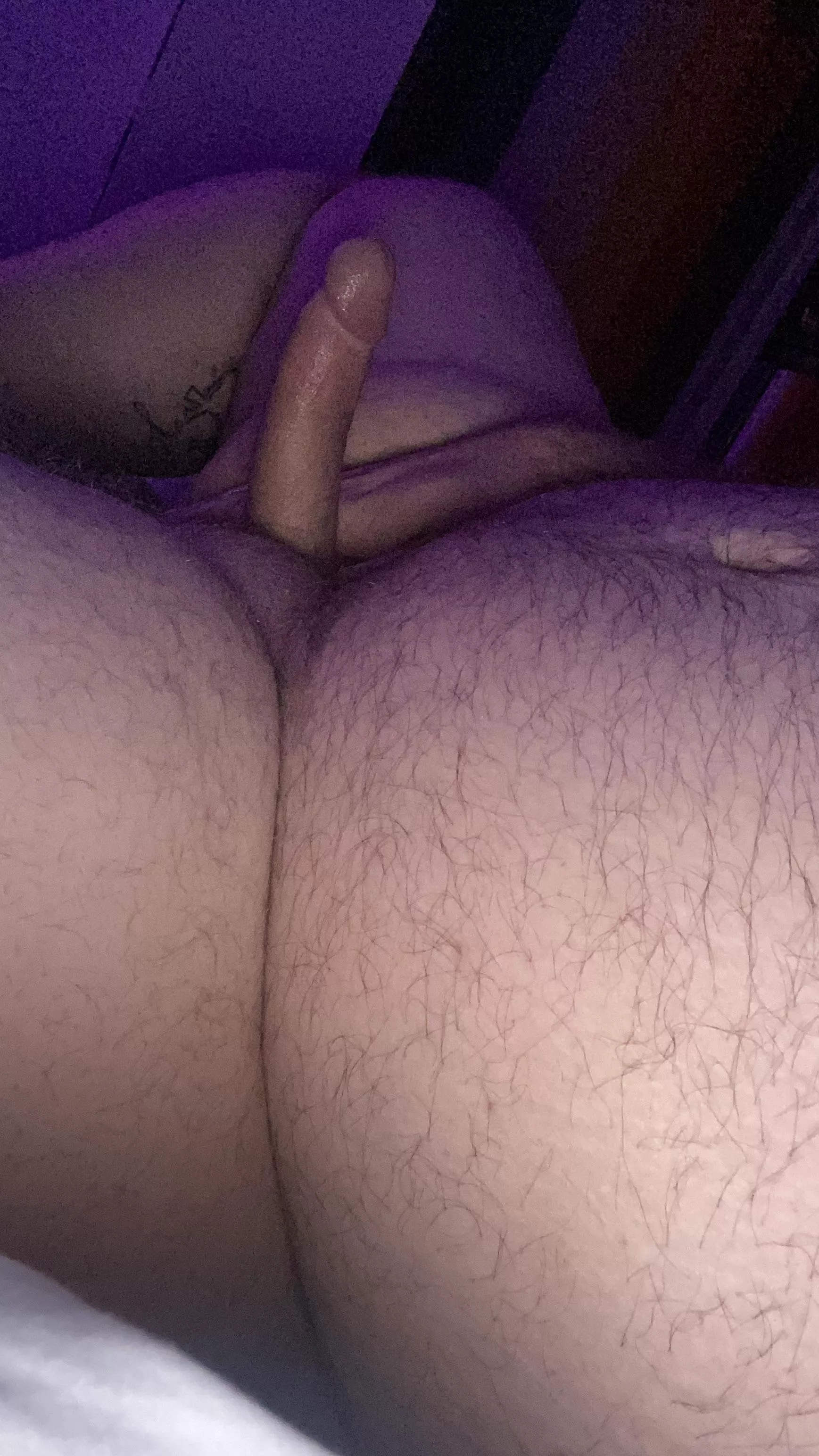 Feed you? Or breed you? (34m) posted by hairybear-throwaway