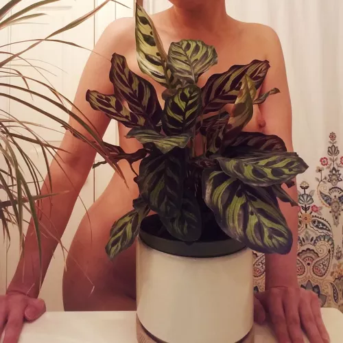 It's there if you look close enough by icecreamcyclic