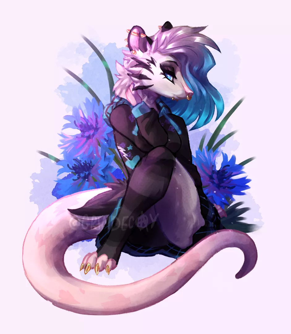 [OC] art I made of my opossum character! posted by Arctinii