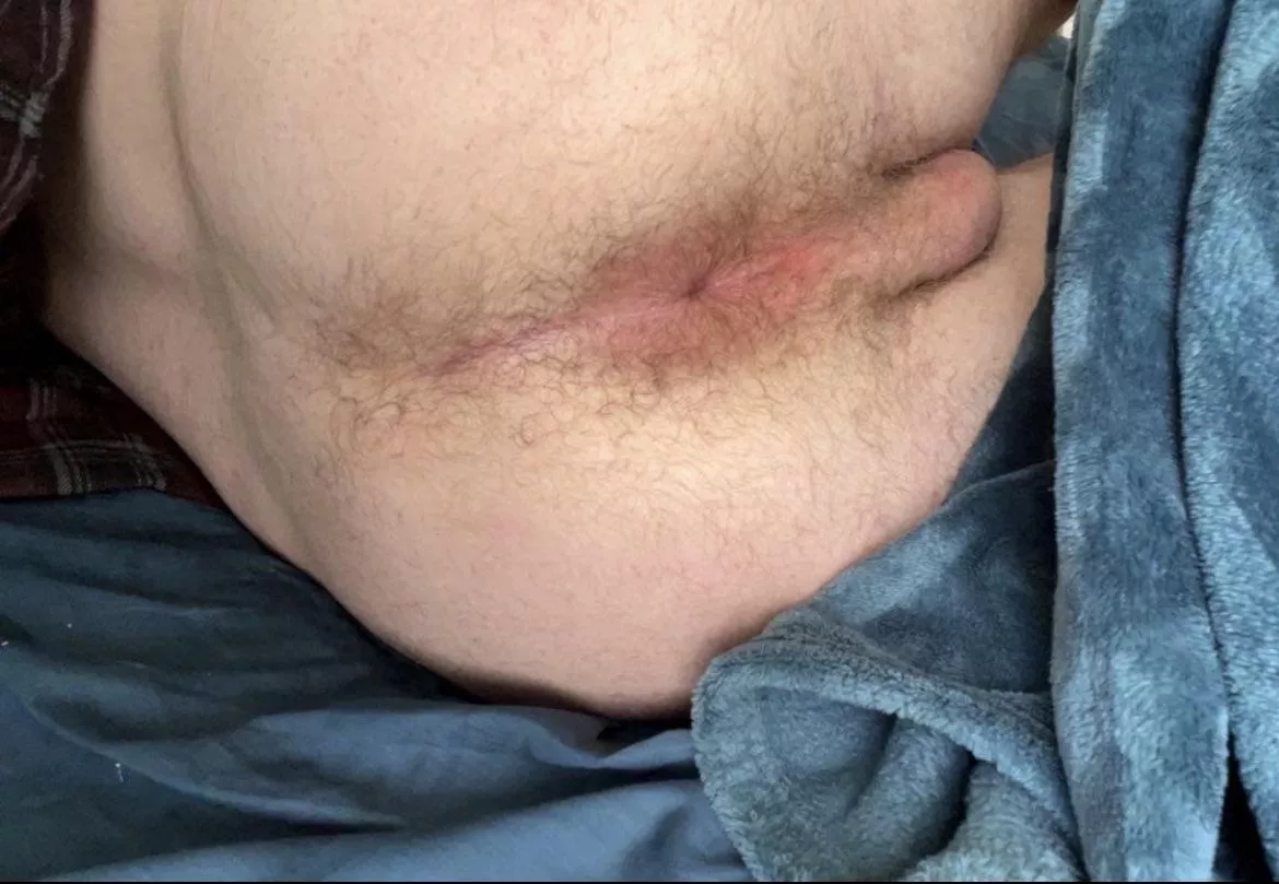 Ready to be bred 🥵🤤 posted by Funny_Question_2492