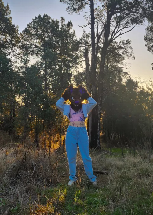 This dog offers to lead you into the woods, do you accept? by lilyt24