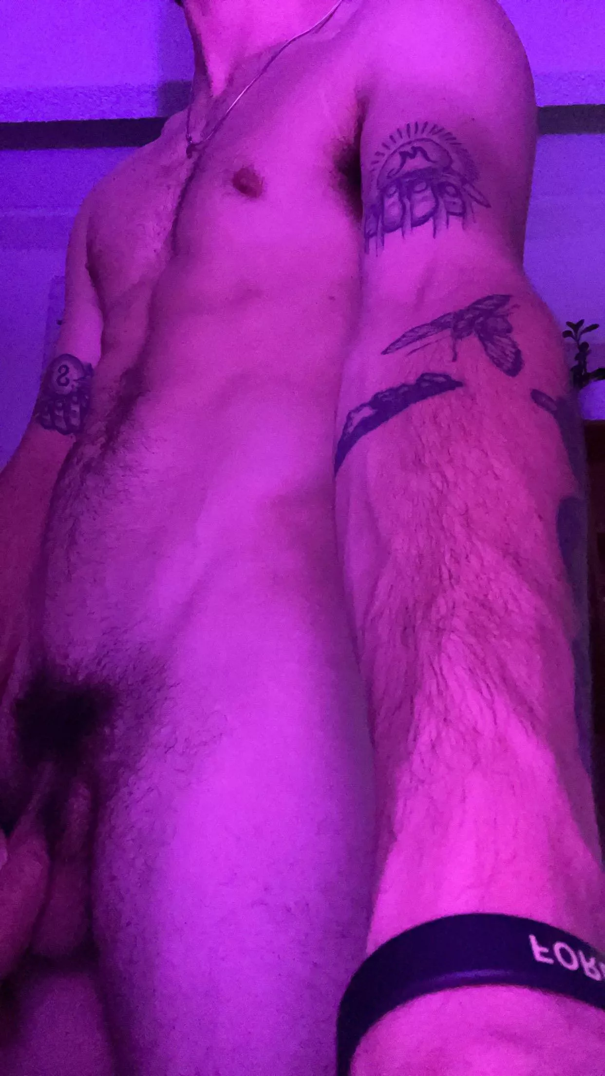 What do you guys think of my tattoos? posted by Temporary-Resident51