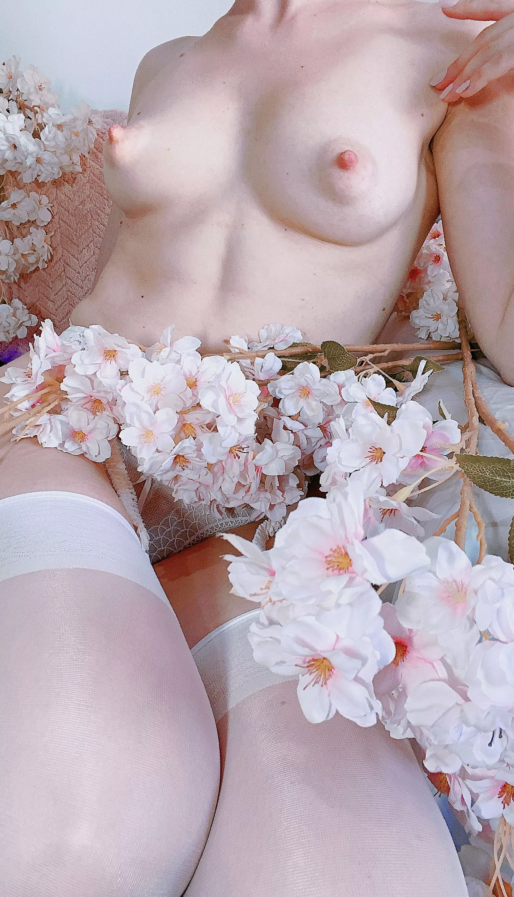 you can enjoy my beautiful tits today posted by algeriancoue17