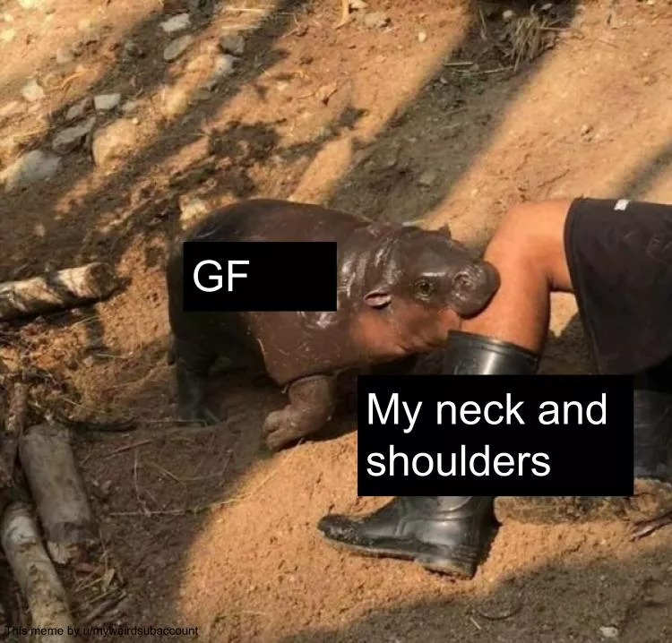 A meme now that we're back posted by myweirdsubaccount