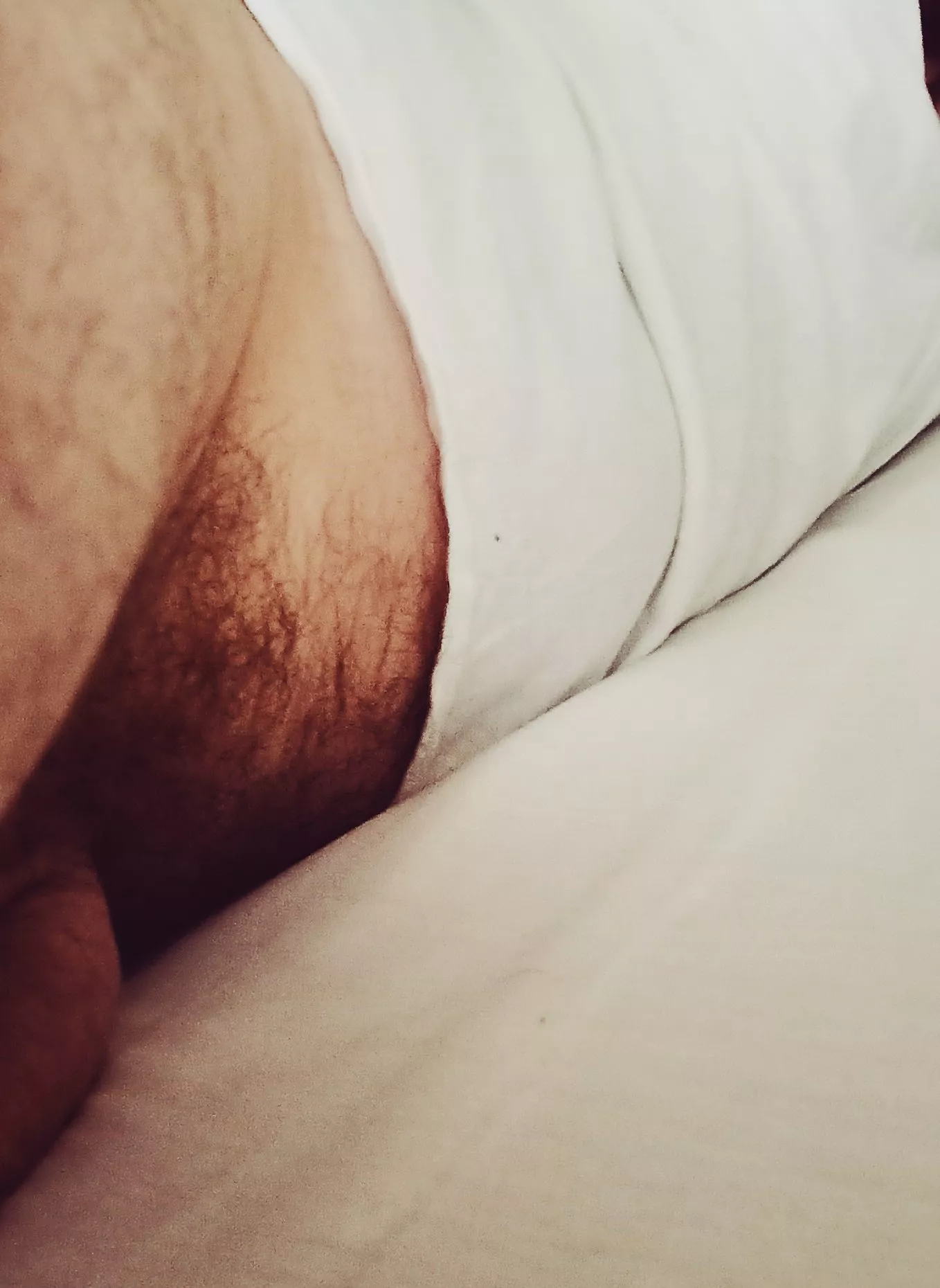 Afternoon nap posted by butt-nugget