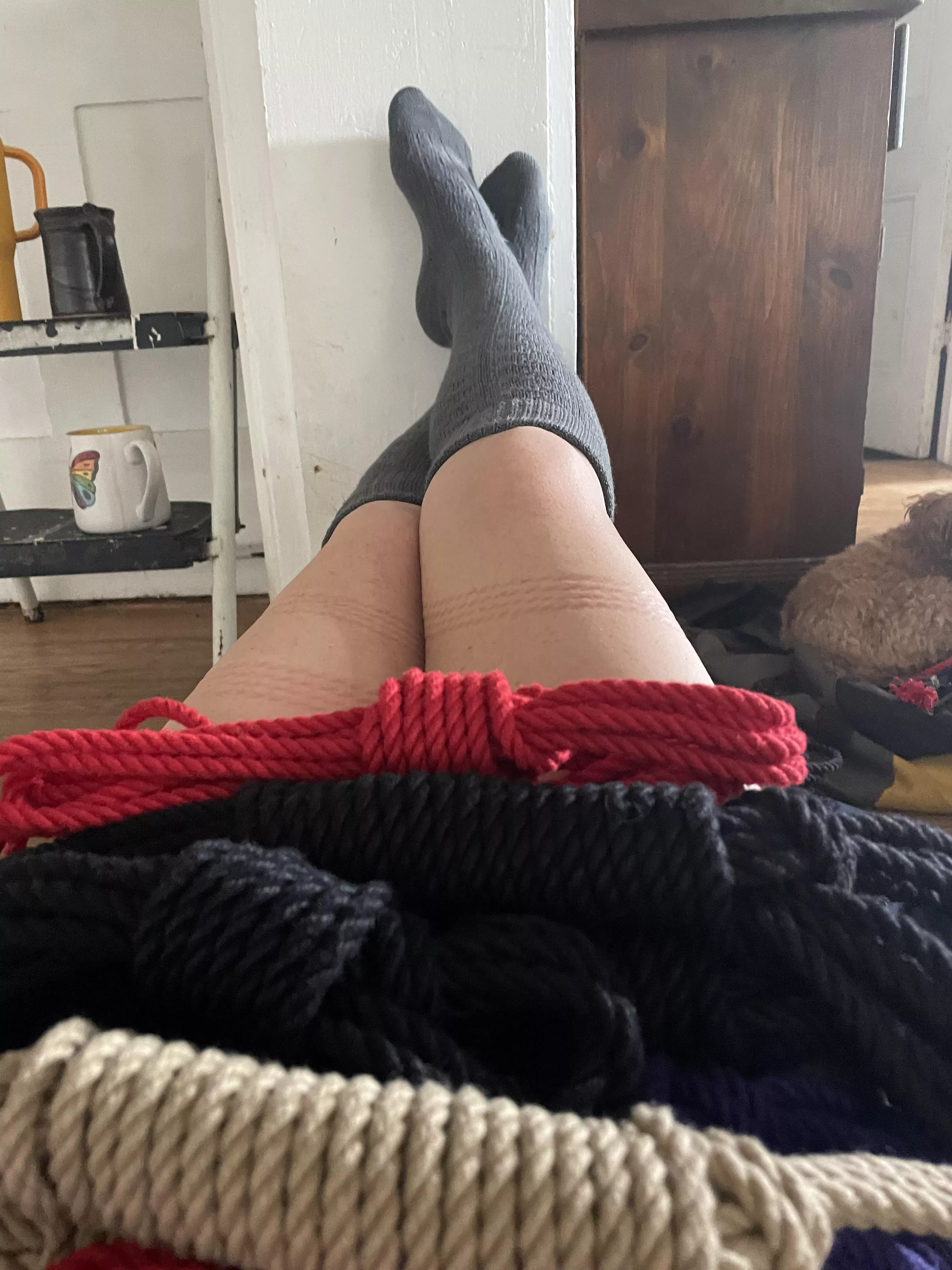 Basking in satisfaction and purring like a kitten with a ball of yarn. posted by meeshileo