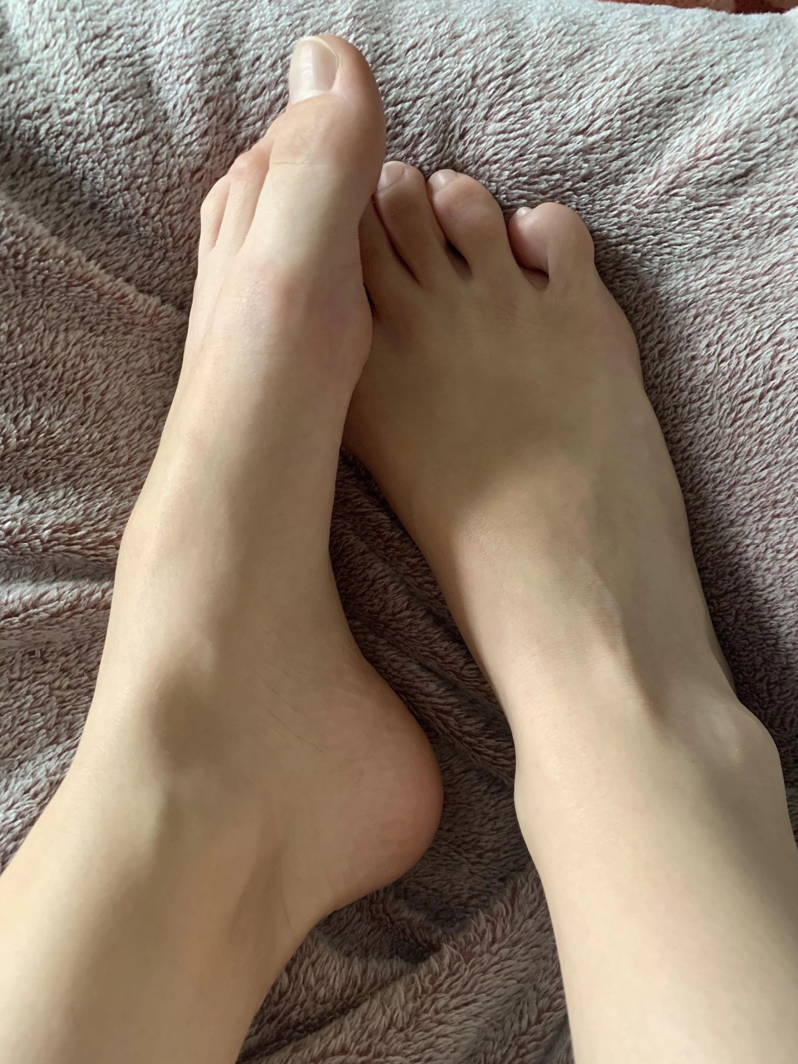 Beware, for these legs are a weapon of irresistible seduction. posted by thinFlop831