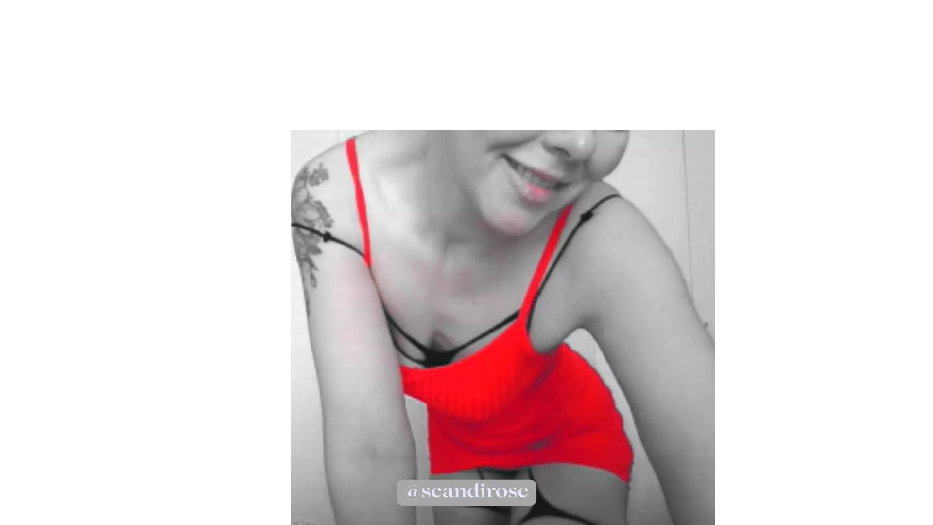 Customs are open! :D posted by Direct_Examination27