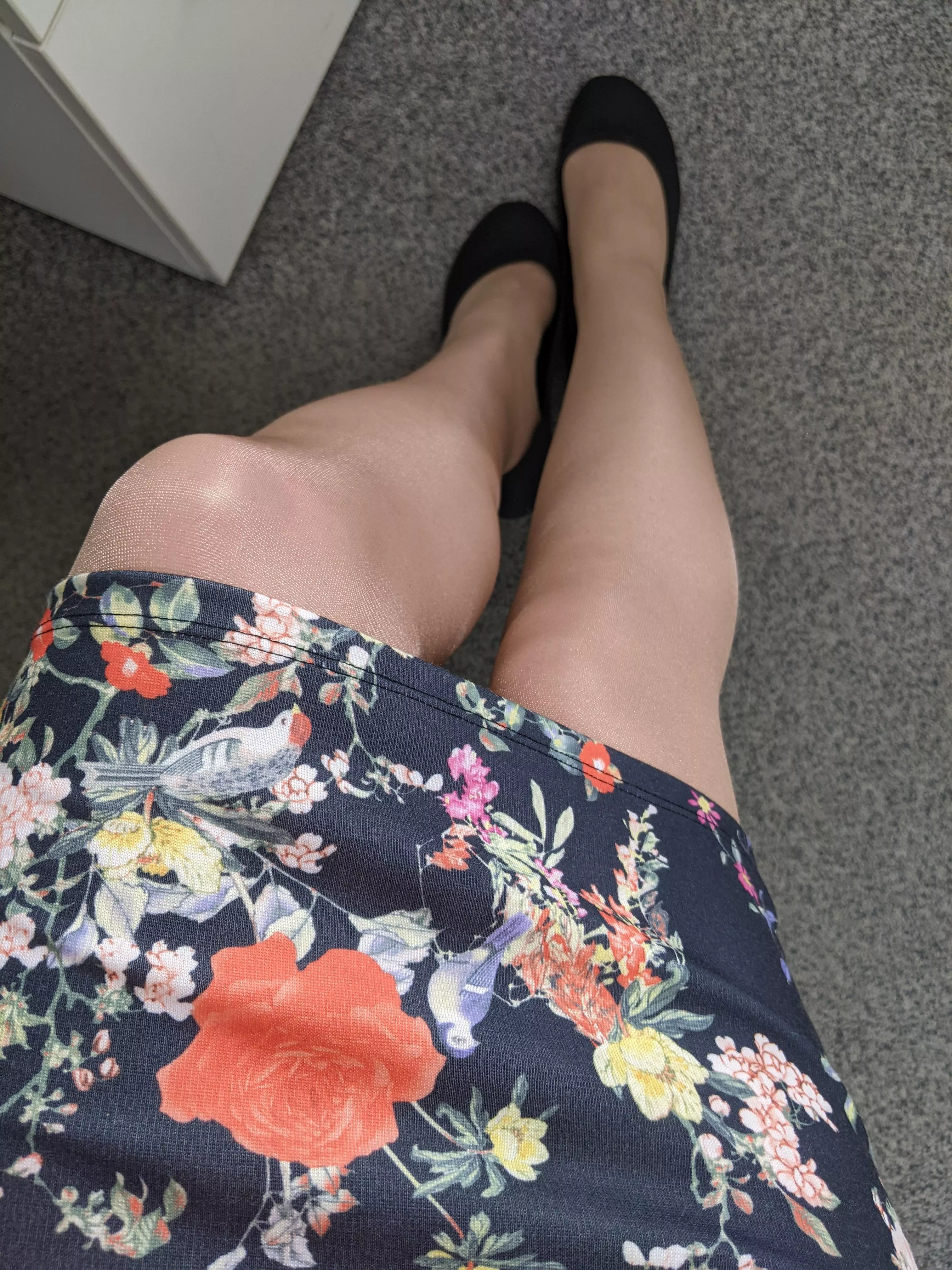 Happy Wednesday! posted by lonely_chameleon_