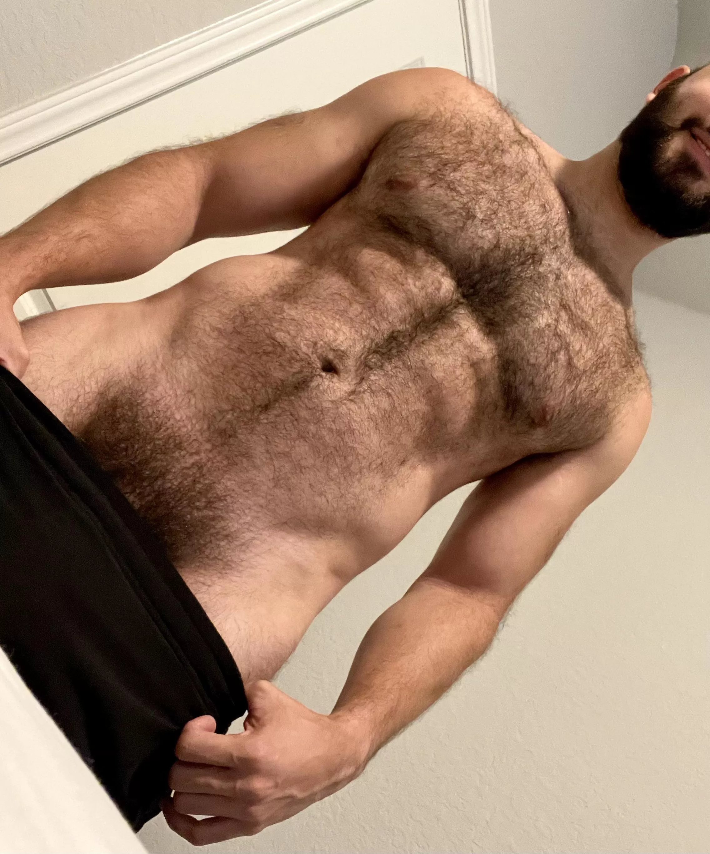 Hard Muscles + Soft Hair = Welcome to Chest Hair Heaven posted by Hairy_beefcake