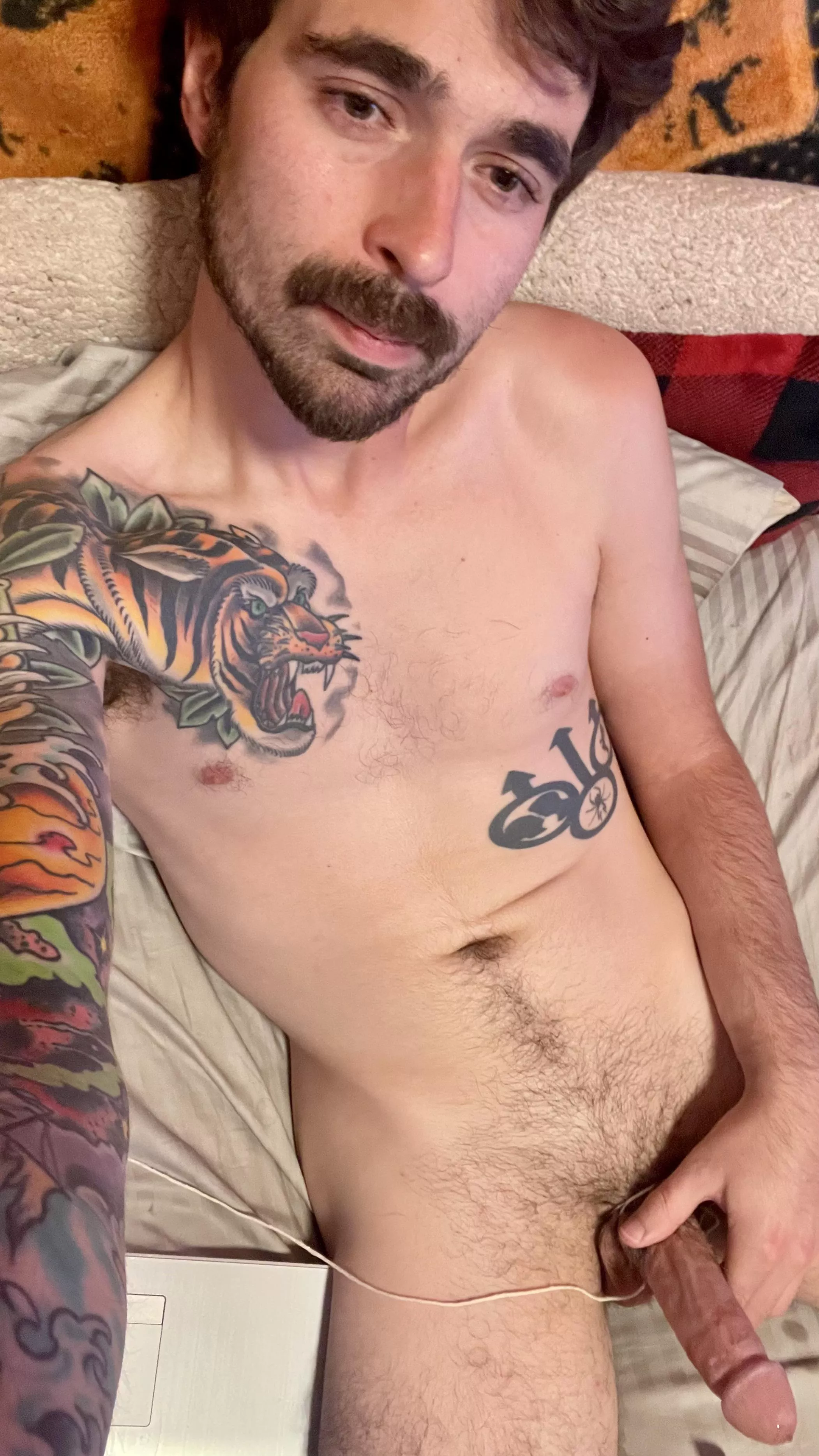 How's your evening? posted by tatted_nrcleptik