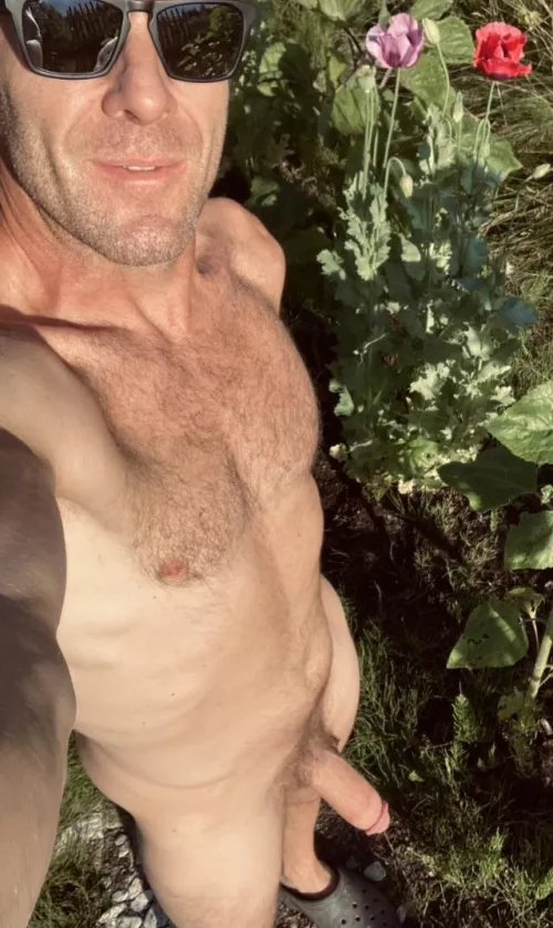 Poppies are almost tall as me!! by akmfstead