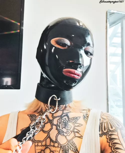 s h i n y by Silhouette_Project