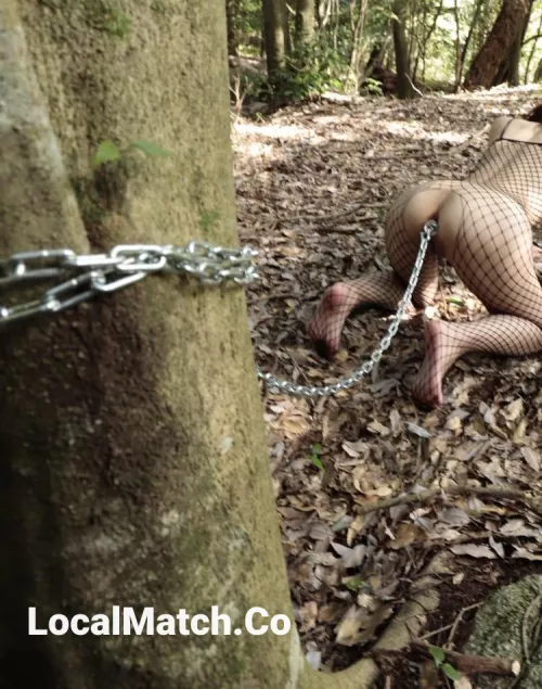 Stepping back from the stroll by twila_24933