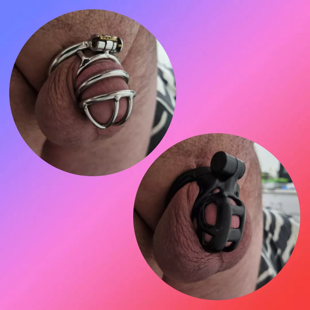 What say you? posted by boundopen