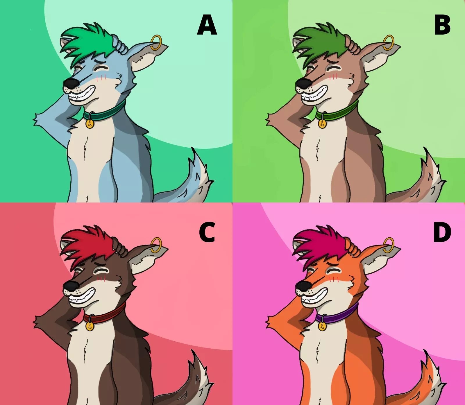 Which color is the best for Lucca? posted by LuccaTheDoggy