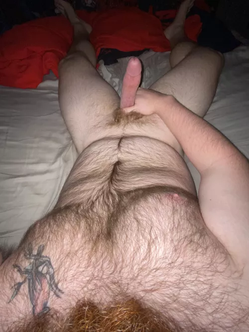 Who wants a piece? by Puzzleheaded_Ad_9423