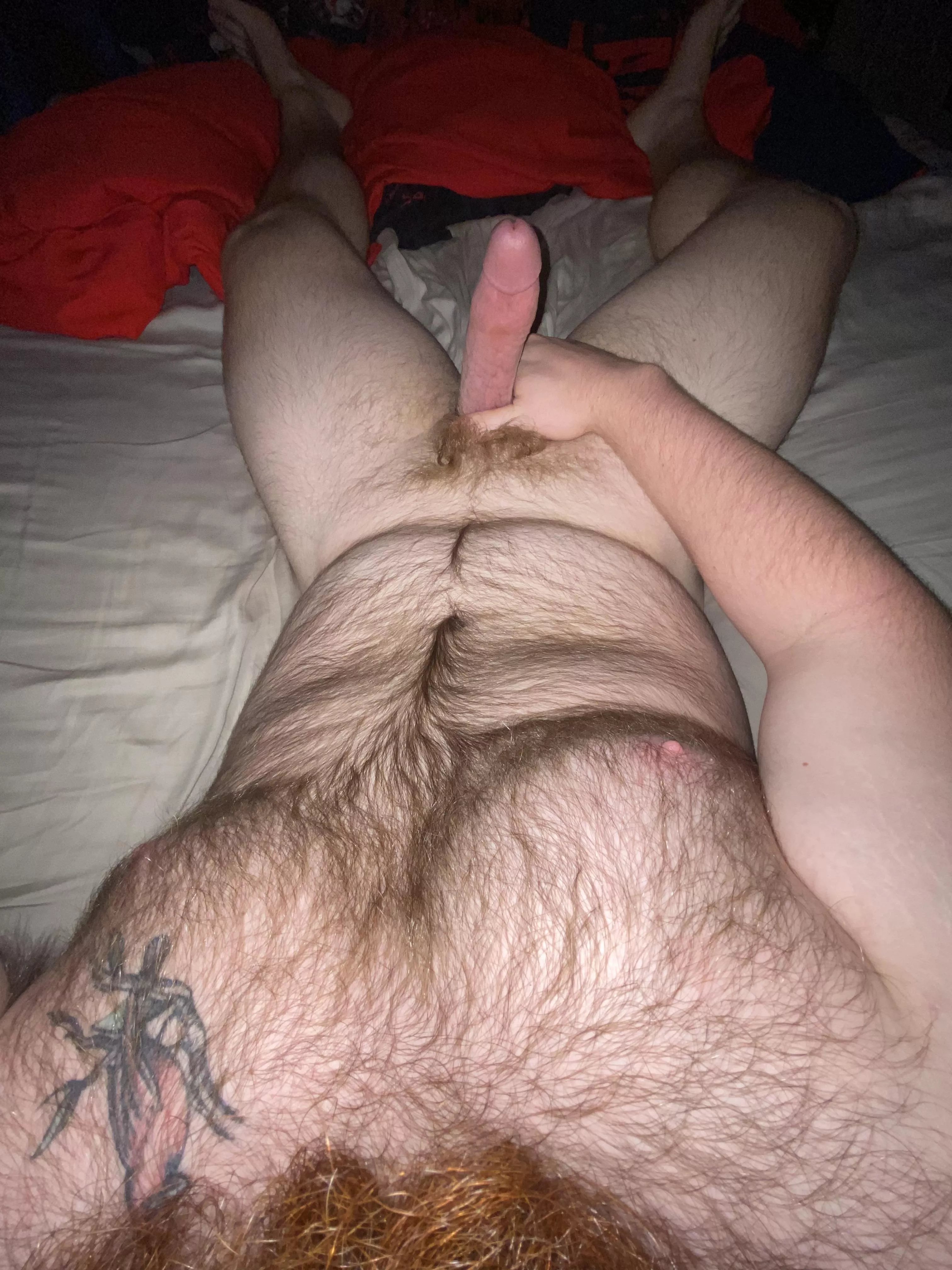 Who wants a piece? posted by Puzzleheaded_Ad_9423