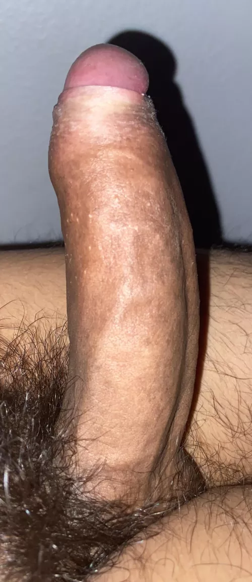 Would you give your wife/gf to me by Ok_Tie_6009