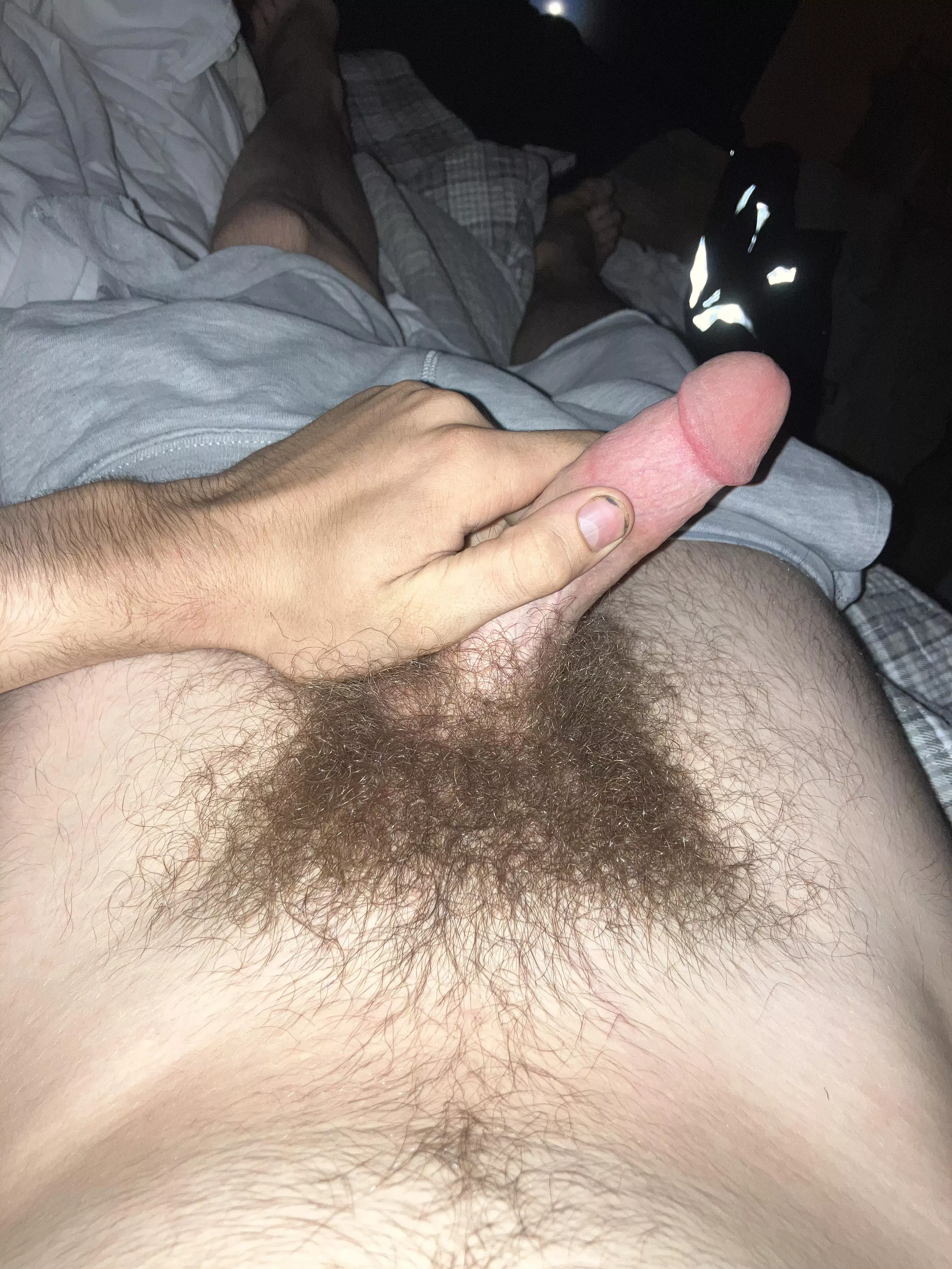 [18] hope this fits here posted by Longjumping-Newt9934