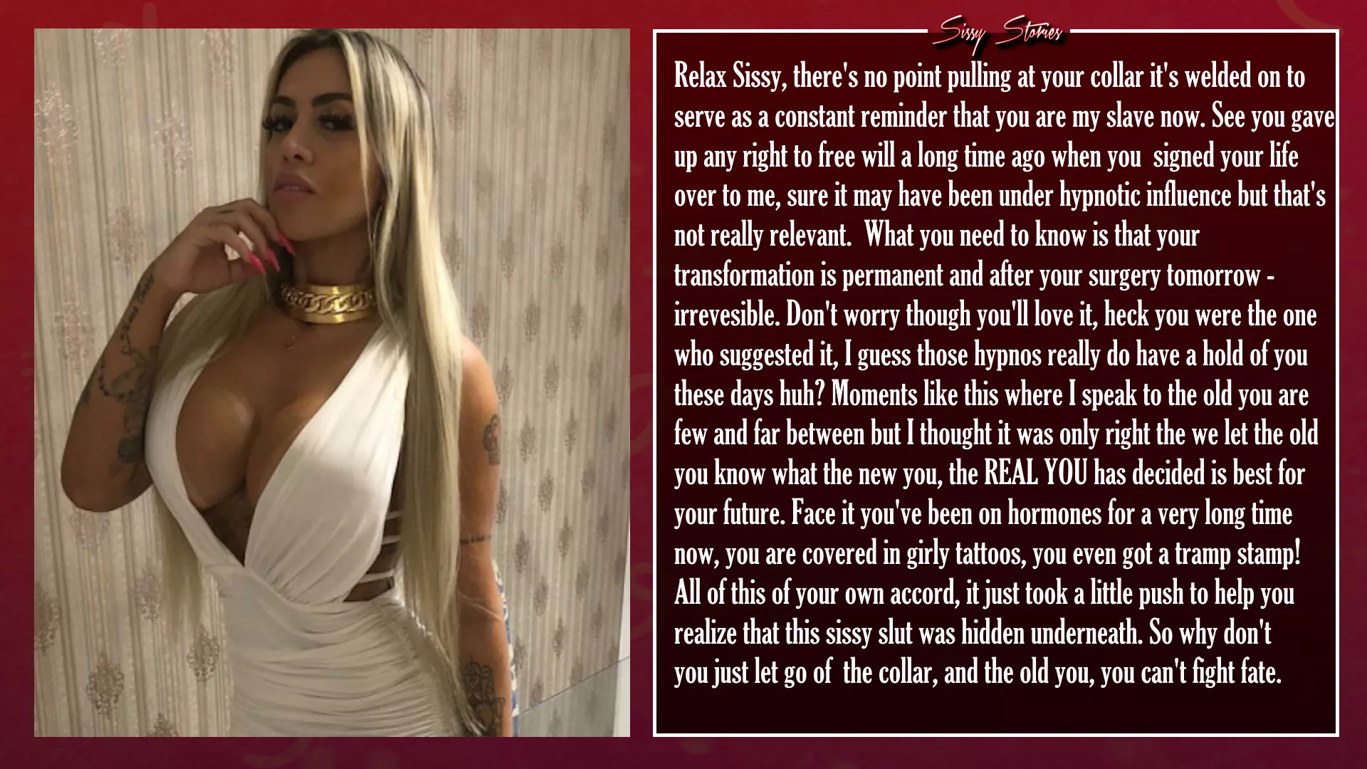 Can't fight fate posted by SissyStories01