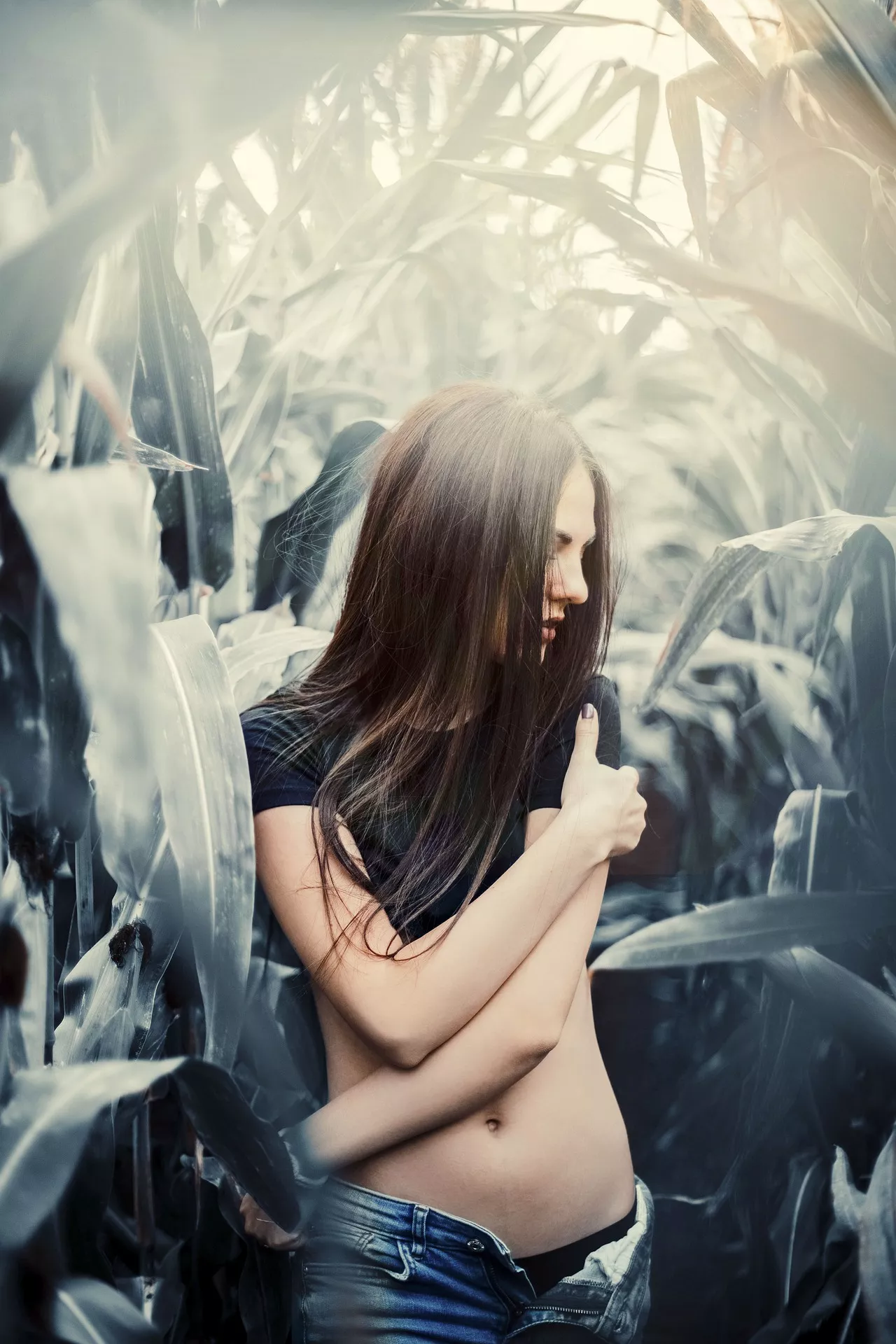 Field of Dreams by Ratke posted by LastChance451