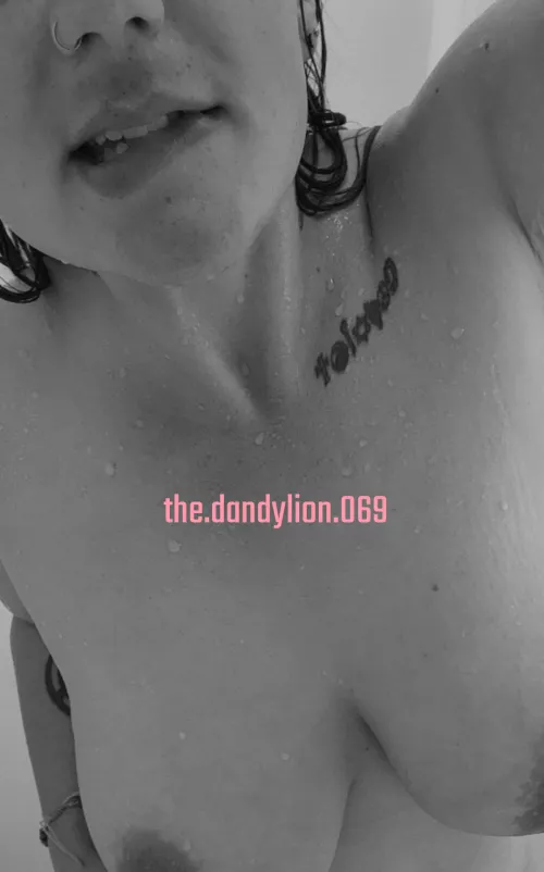 Heyyyy, it's hump day! by thedandylion069