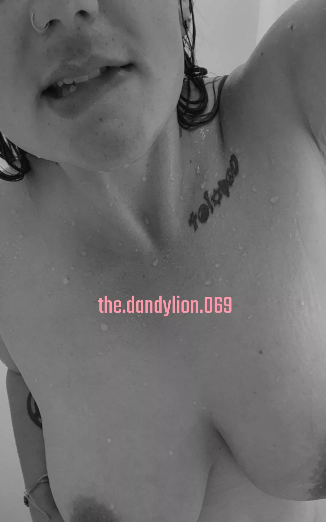 Heyyyy, it's hump day! posted by thedandylion069