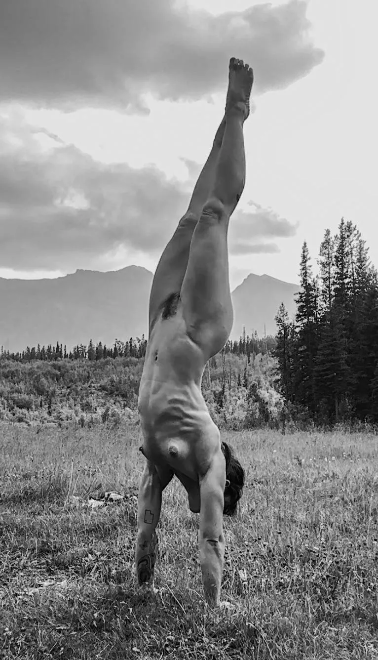 How about those serratus muscles? posted by Curiousmusclegirl